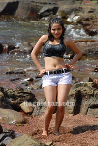 Sheena Photo Gallery