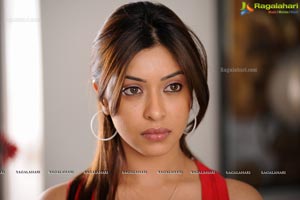 Payal Gosh Photo Gallery from Oosaravelli