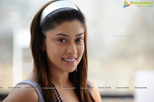 Payal Gosh Photo Gallery from Oosaravelli