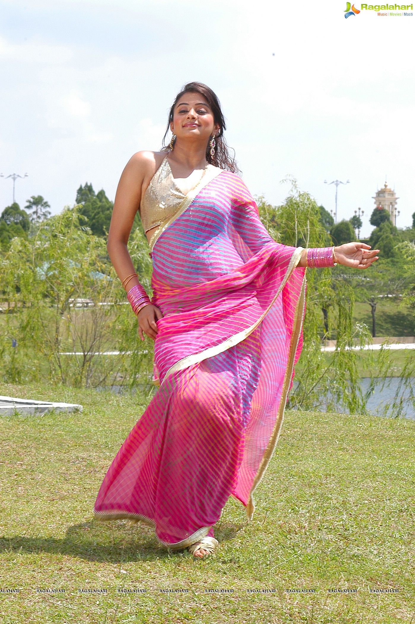 Priyamani Saree Stills from Kshetram Movie, Gallery, Images