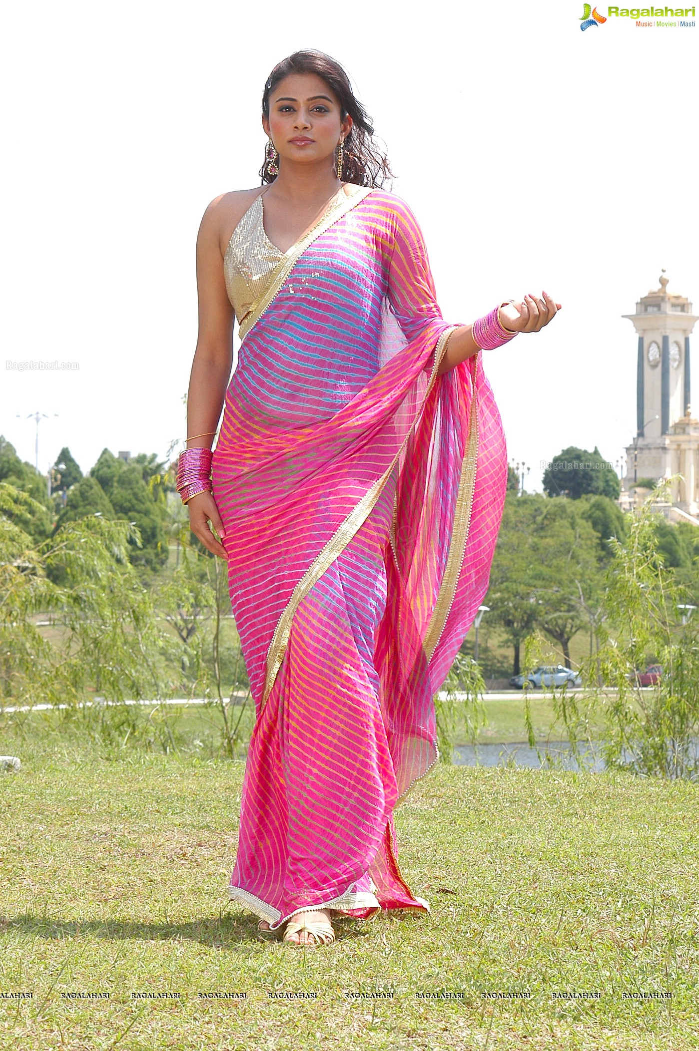 Priyamani Saree Stills from Kshetram Movie, Gallery, Images