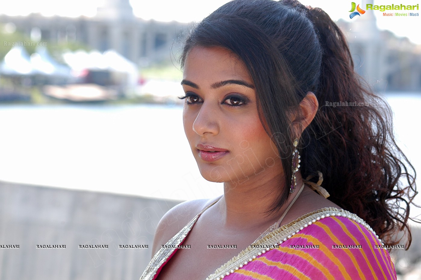 Priyamani Saree Stills from Kshetram Movie, Gallery, Images