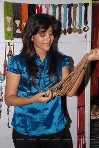 Rashmi Gautham at Silk of India Expo 2011