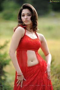 Tamanna Photo Gallery from Oosaravelli