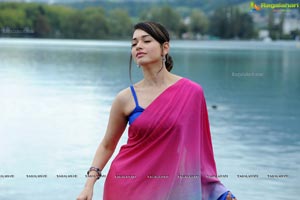 Tamanna Photo Gallery from Oosaravelli