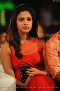 Amala Paul High Quality Photos