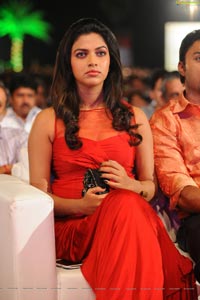 Amala Paul High Quality Photos