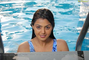 Monal Gajjar in Swimming Pool