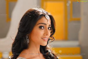 Shriya Hot Photos