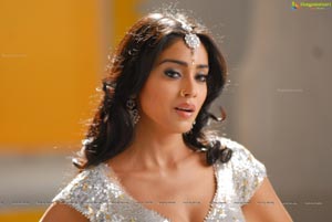 Shriya Hot Photos