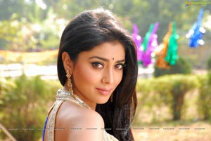 Shriya in Saree