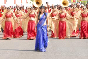 Shriya in Saree