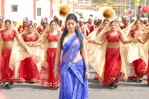 Shriya in Saree