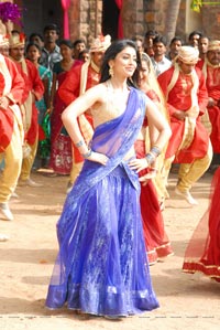 Shriya in Saree