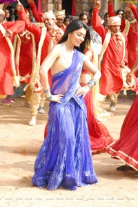 Shriya in Saree