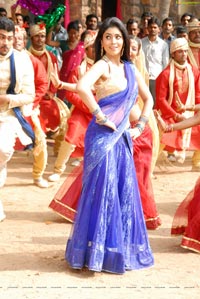 Shriya in Saree