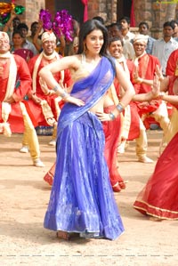 Shriya in Saree