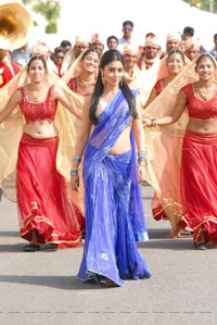 Shriya in Saree