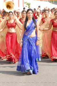 Shriya in Saree