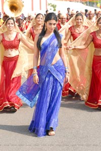 Shriya in Saree