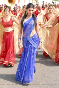 Shriya in Saree