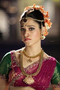 Tamanna Spicy Photos