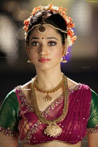 Tamanna Spicy Photos