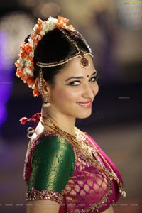 Tamanna Spicy Photos