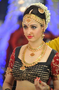 Tamanna Spicy Photos