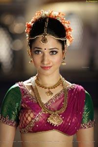 Tamanna Spicy Photos