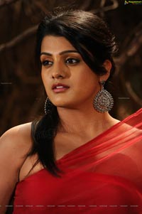 Tashu Kaushik Hot Photos