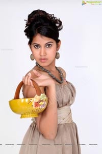 Hyderabad Model Honey