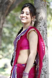 Aksha Hot in Saree