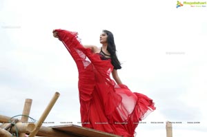 Anushka Shetty in Dhamarukam