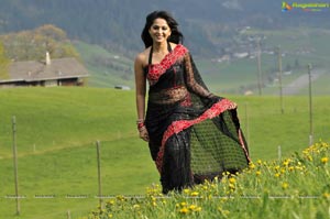 Anushka Shetty in Dhamarukam