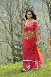 Anushka Shetty in Dhamarukam