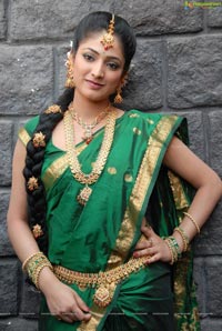 Haripriya Bridal Wear Saree