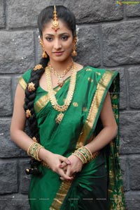 Haripriya Bridal Wear Saree