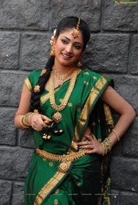 Haripriya Bridal Wear Saree