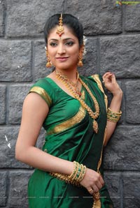 Haripriya Bridal Wear Saree