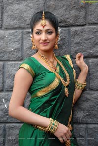 Haripriya Bridal Wear Saree