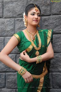 Haripriya Bridal Wear Saree