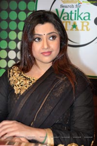 South Indian Film Actress Meena