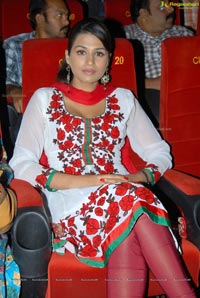 Shraddha Das in Churidhar