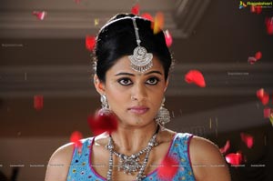 Priyamani Chandee HD Photos