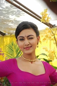 Neelam Upadhyaya Hot Saree Stills