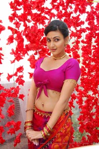 Neelam Upadhyaya Hot Saree Stills