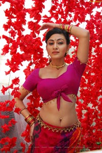 Neelam Upadhyaya Hot Saree Stills