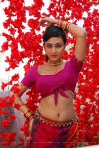 Neelam Upadhyaya Hot Saree Stills