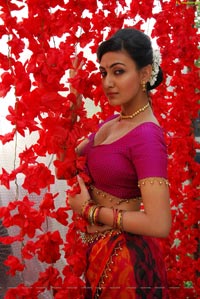 Neelam Upadhyaya Hot Saree Stills